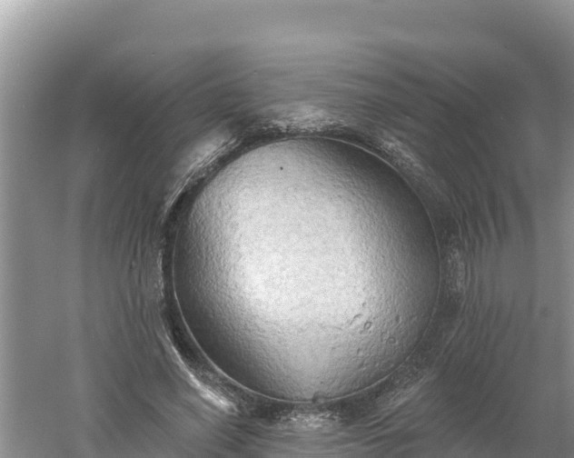 X0000060560638200511101604