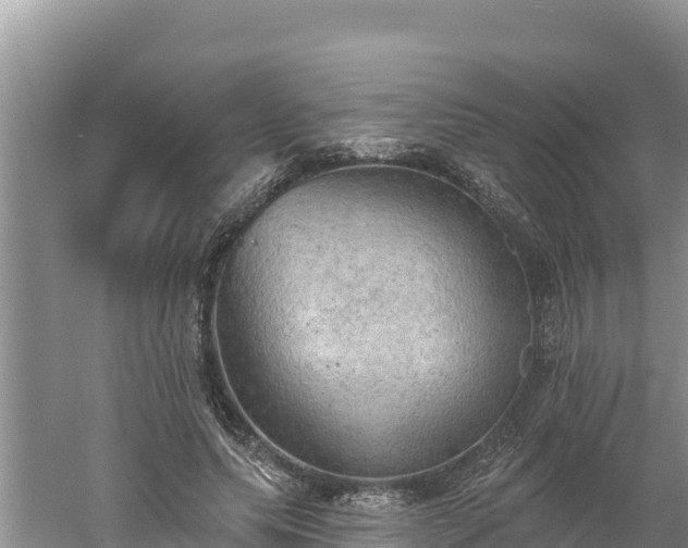 X0000060560639200511101604