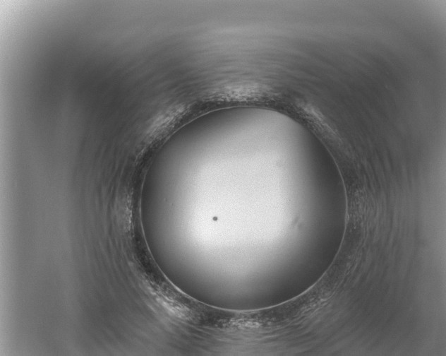 X0000060560640200511101604