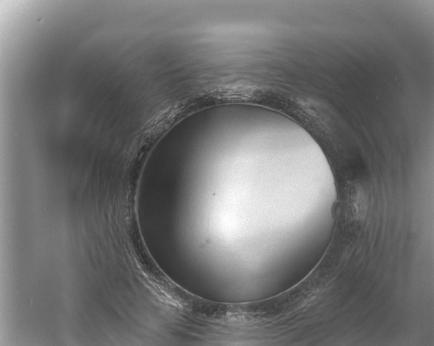 X0000060560641200511101604