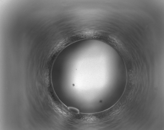 X0000060560642200511101604