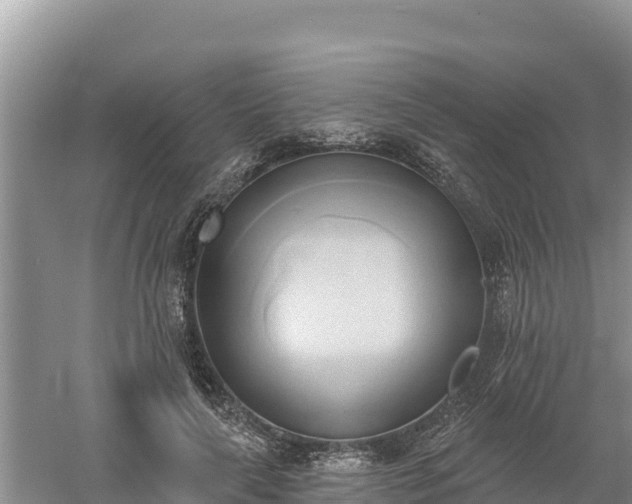 X0000060560643200511101604