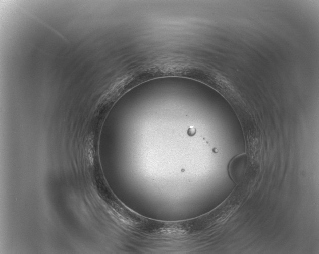 X0000060560644200511101604