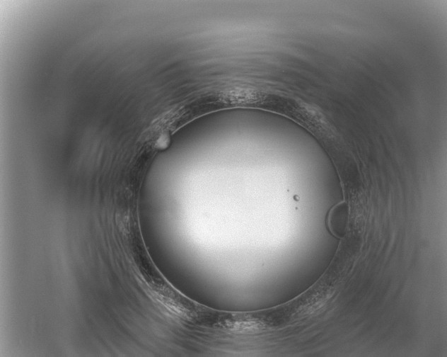 X0000060560645200511101604