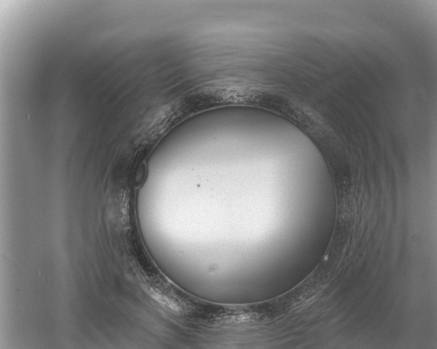 X0000060560646200511101604