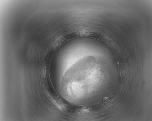 X0000060560647200511101604