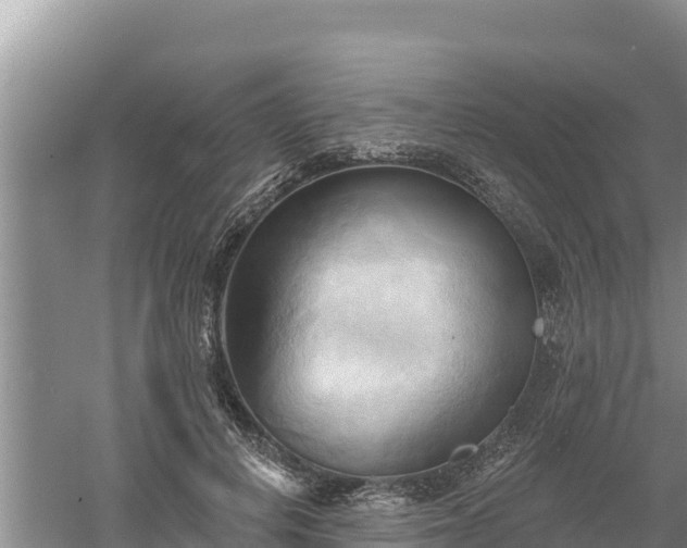 X0000060560648200511101604