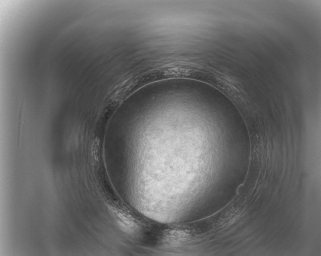 X0000060560649200511101604