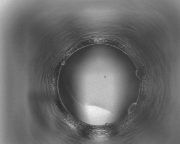 X0000060560650200511101604