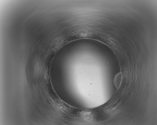 X0000060560651200511101604