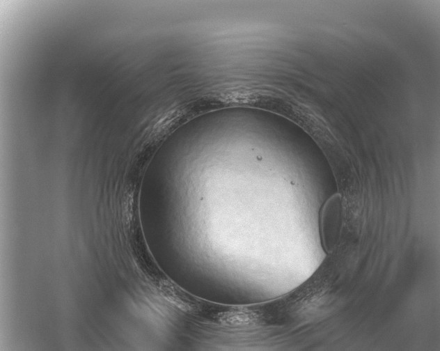 X0000060560652200511101604