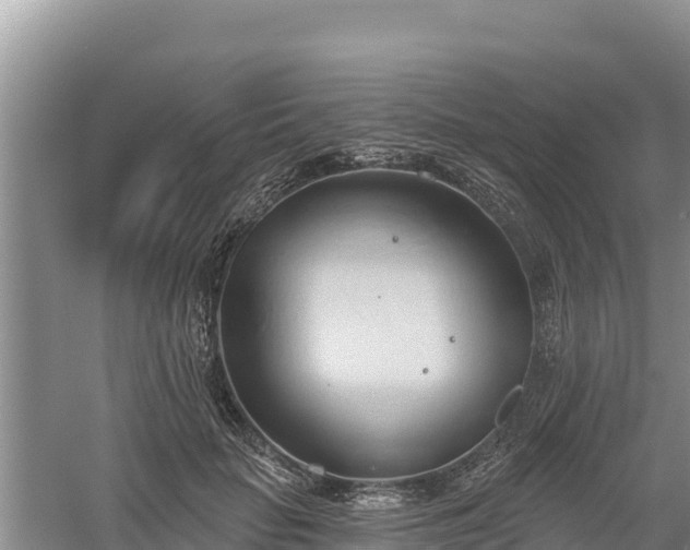 X0000060560653200511101604