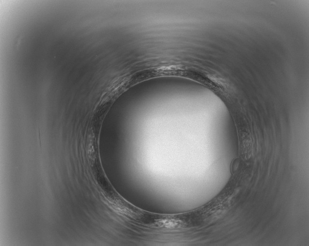 X0000060560654200511101605