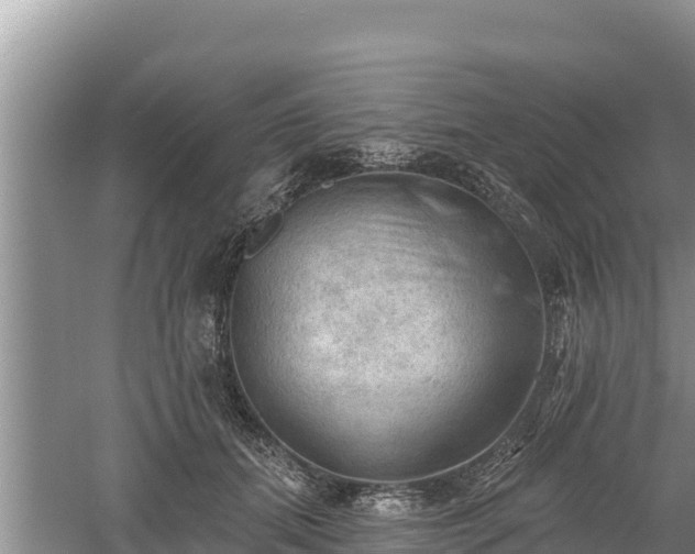 X0000060560655200511101605