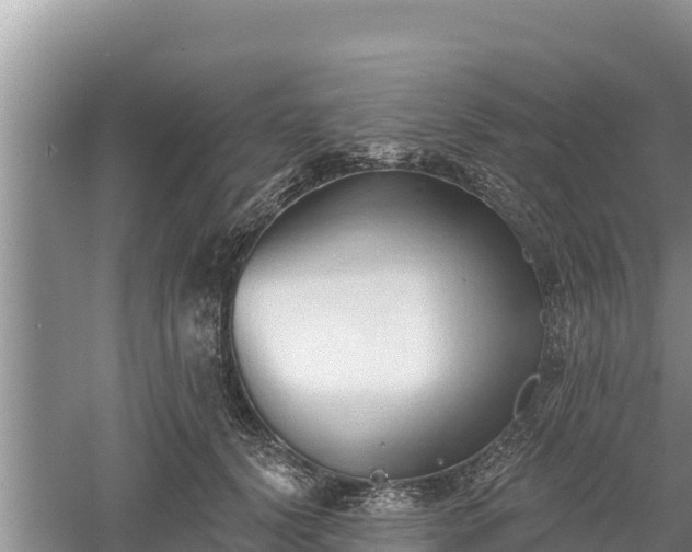 X0000060560656200511101605