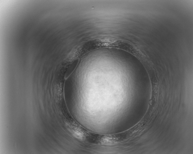 X0000060560657200511101605