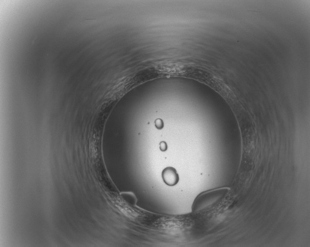 X0000060560658200511101605