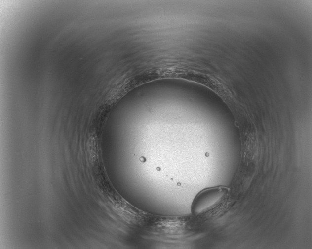 X0000060560659200511101605