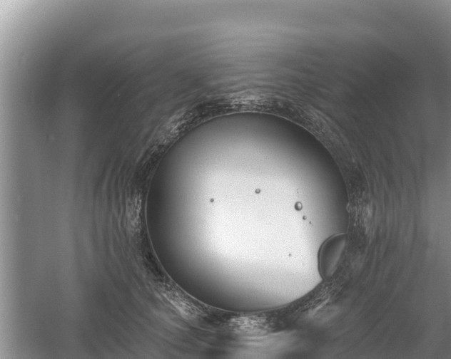 X0000060560660200511101605