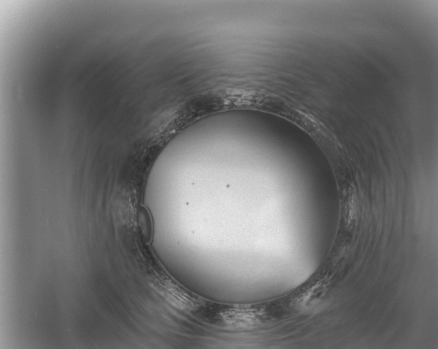 X0000060560661200511101605