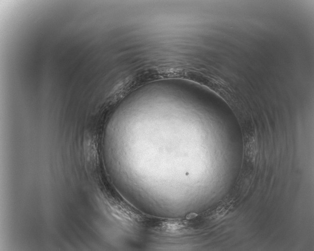 X0000060560662200511101605