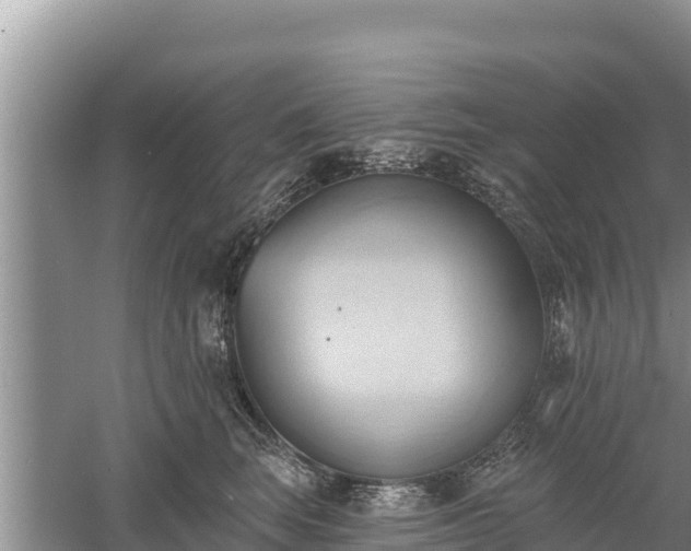 X0000060560663200511101605