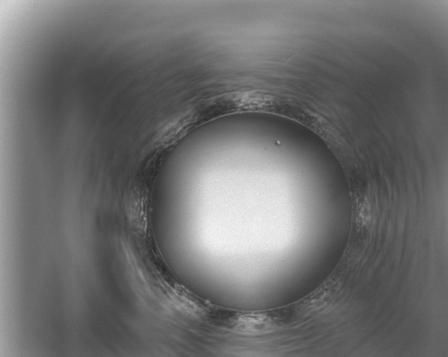 X0000060560666200511101605