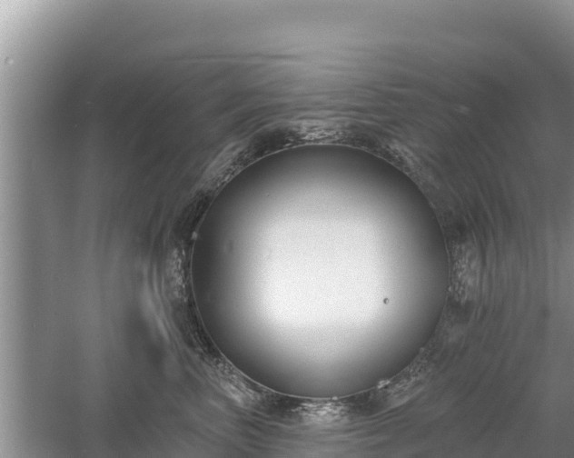 X0000060560667200511101605