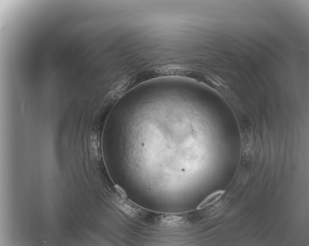 X0000060560669200511101605