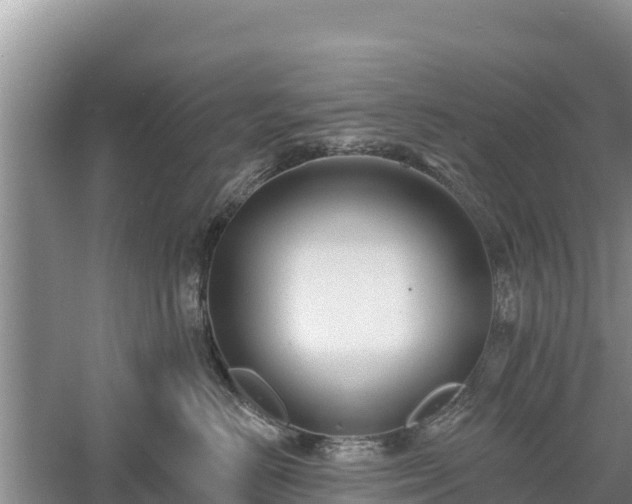 X0000060560670200511101605