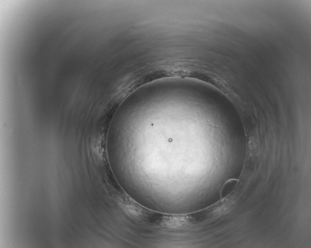 X0000060560671200511101605