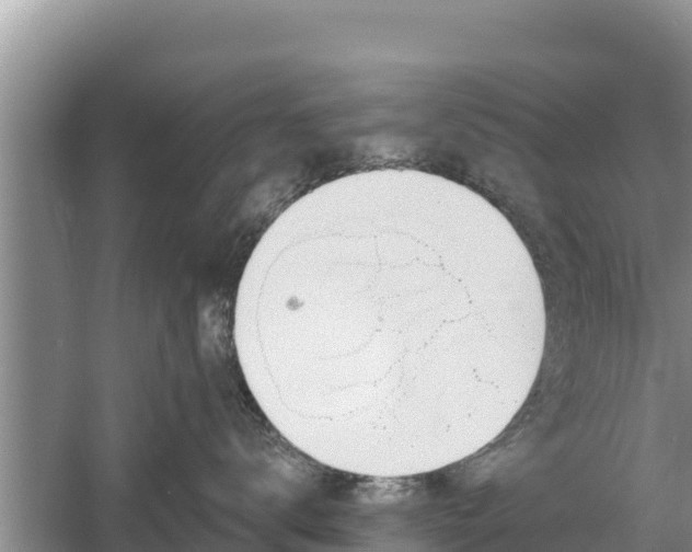 X0000060560672200511101605