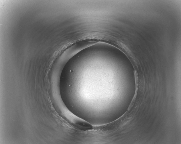 X0000060560673200511101604