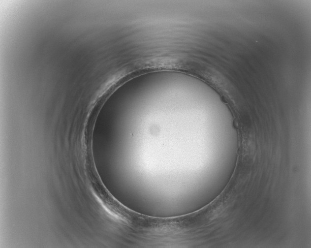 X0000060560674200511101604