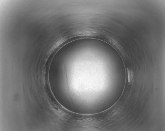 X0000060560675200511101604