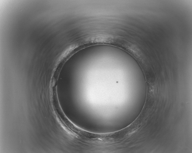 X0000060560678200511101604