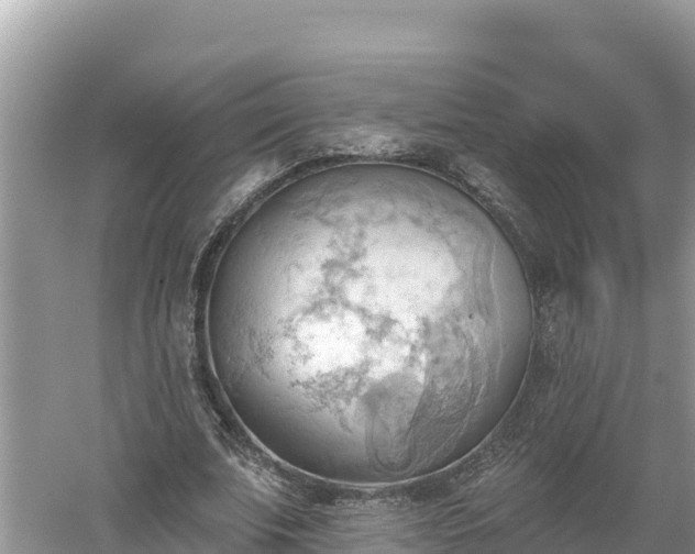 X0000060560679200511101604