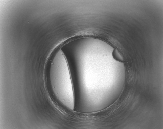 X0000060560680200511101604