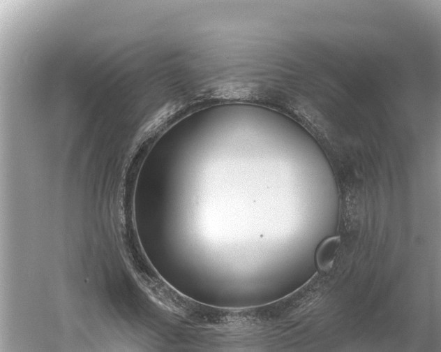 X0000060560682200511101604