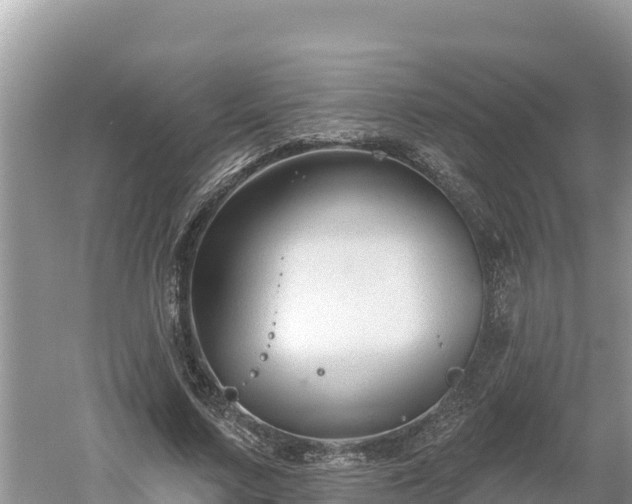 X0000060560683200511101604