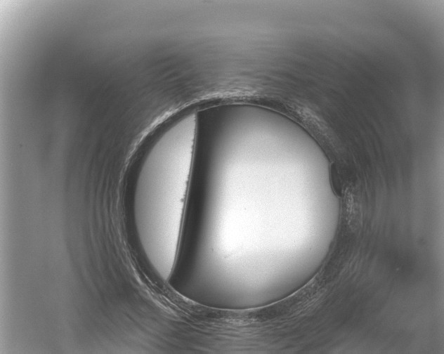 X0000060560684200511101604