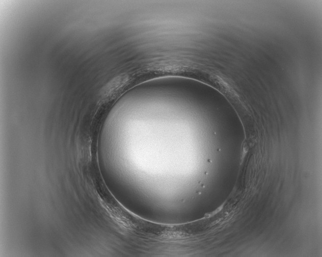 X0000060560685200511101604