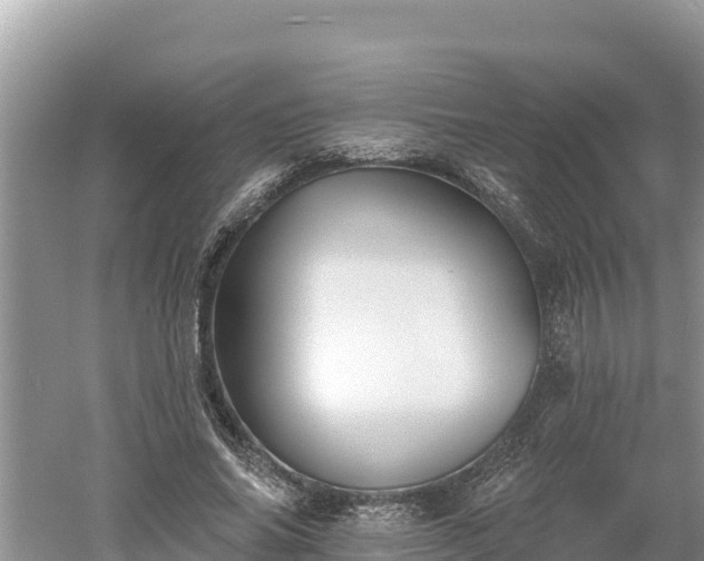 X0000060560686200511101604