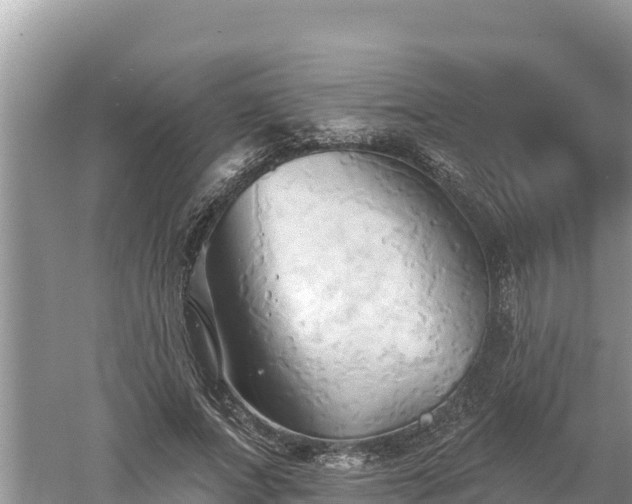 X0000060560687200511101604