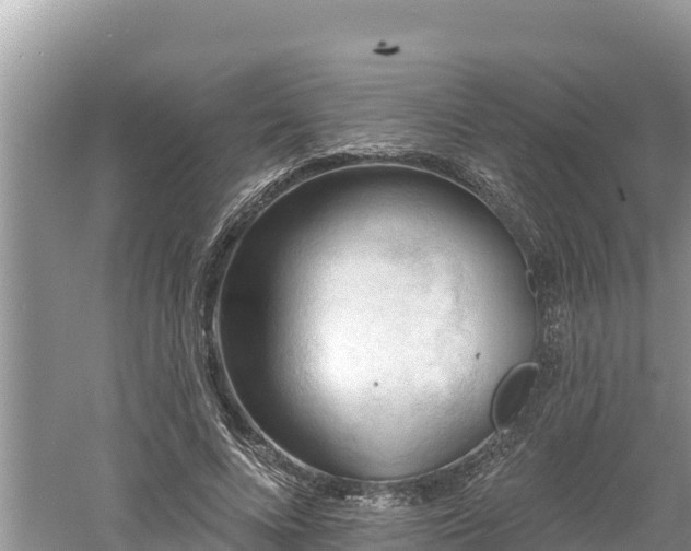 X0000060560688200511101604