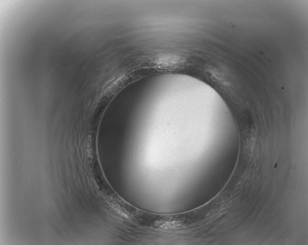 X0000060560689200511101604