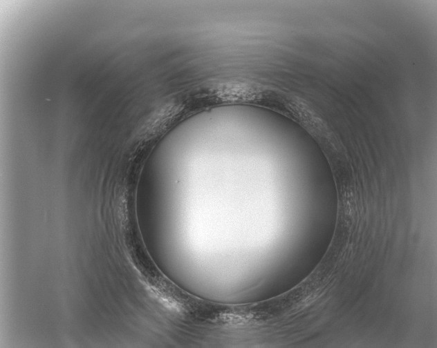 X0000060560690200511101604