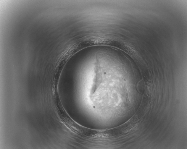 X0000060560691200511101604