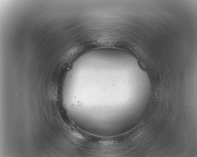 X0000060560693200511101604