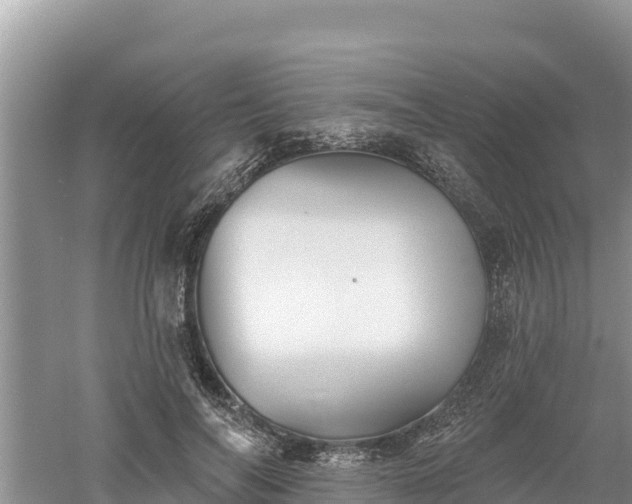 X0000060560694200511101604